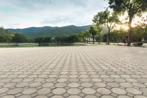 Best Driveway Repair Near Me  in Waterflow, NM